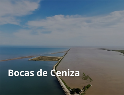 Bocas de ceniza