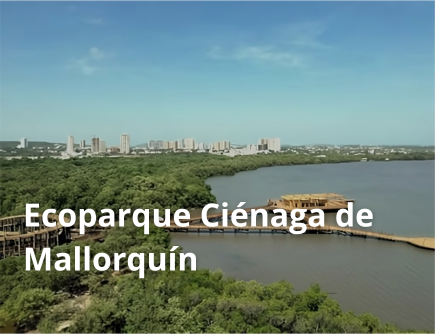 Ecoparque Ciénaga de Mallorquín