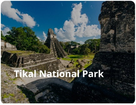 Tikal National Park