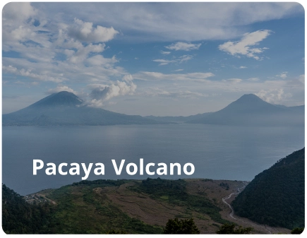 Pacaya Volcano